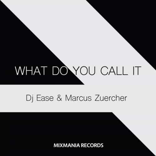 What Do You Call It (Original Mix) By Dj Ease And Marcus Zuercher Art Work